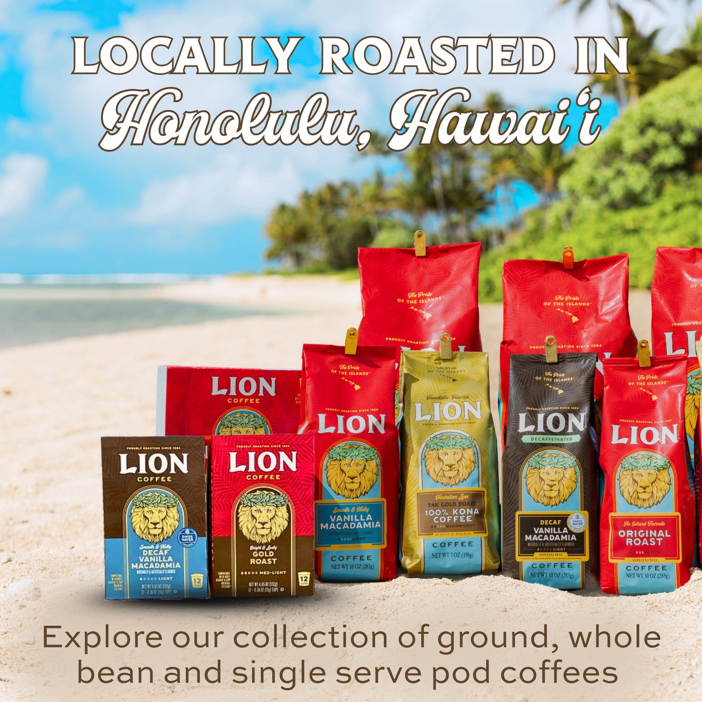 Chocolate Macadamia Ground Coffee, 100% Arabica, Light Roast, 24 Oz