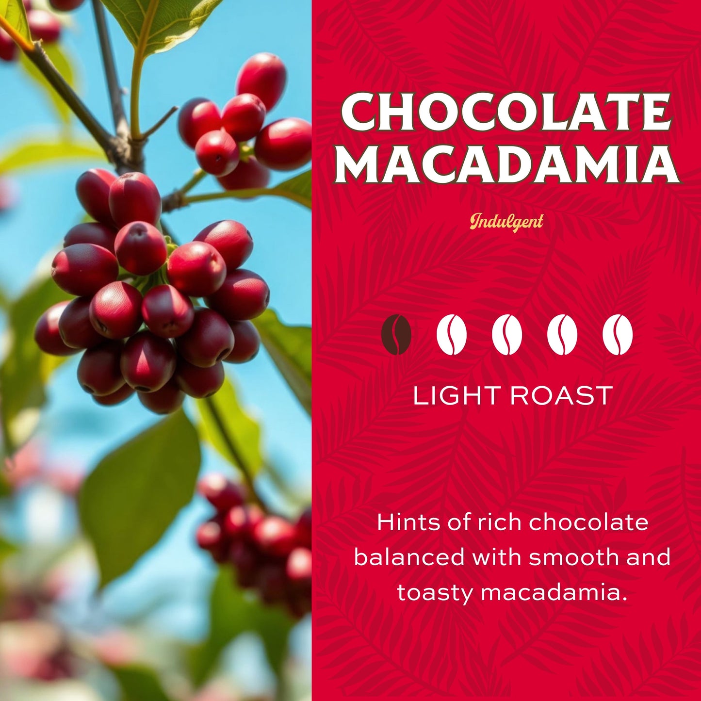 Chocolate Macadamia Ground Coffee, 100% Arabica, Light Roast, 24 Oz